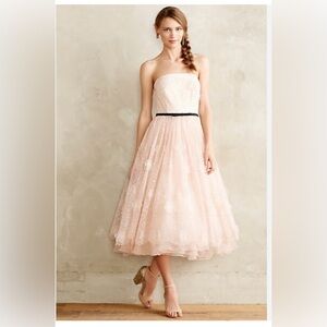 Erin Fetherston Lucielle 3-D Floral Organza Dress NWT